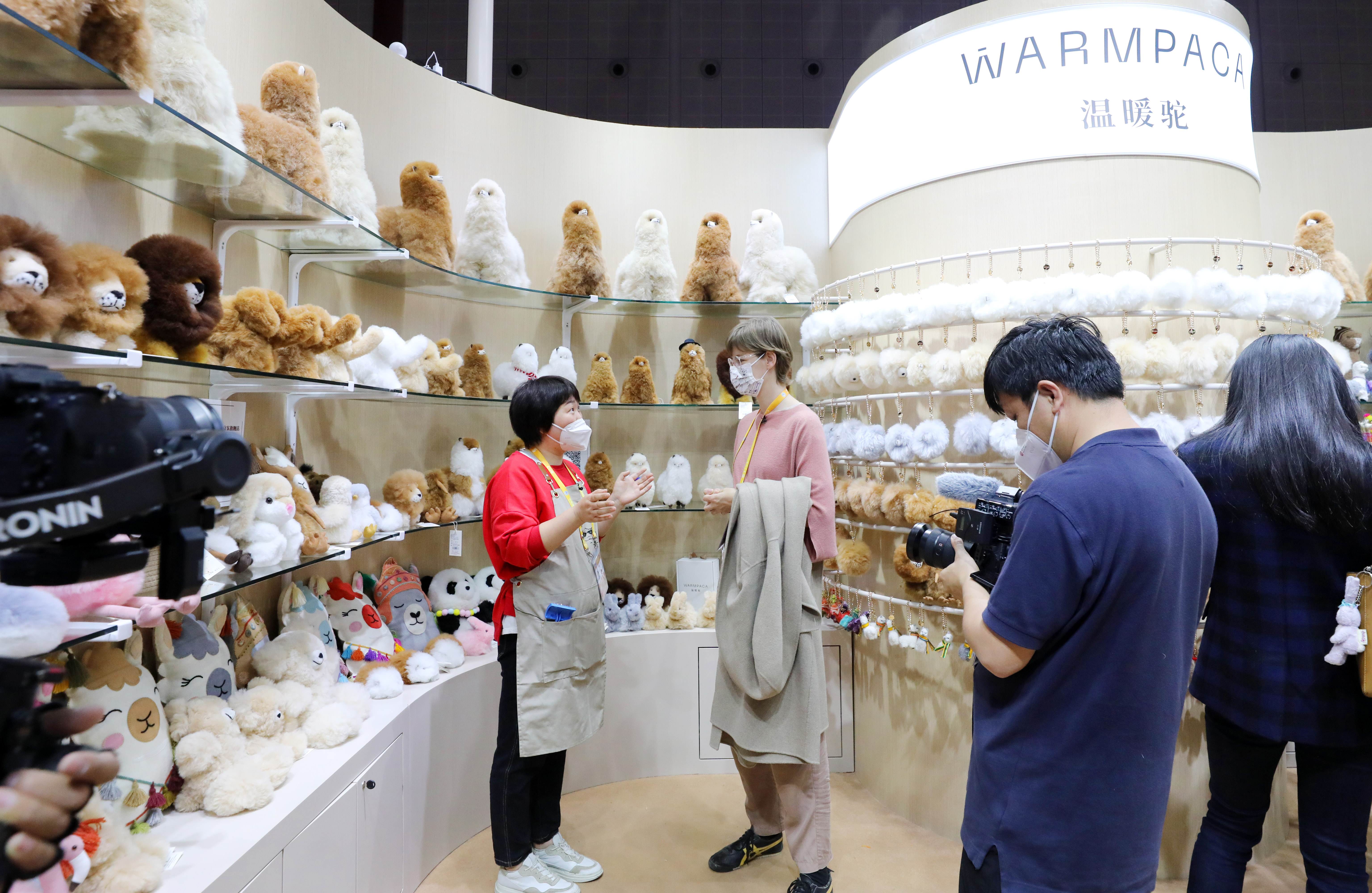 （新华全媒+）一只秘鲁“小羊驼”的进博之旅