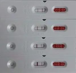 新冠抗原自测试剂盒正规购买渠道 (新冠抗原自测试剂盒购买渠道金华)