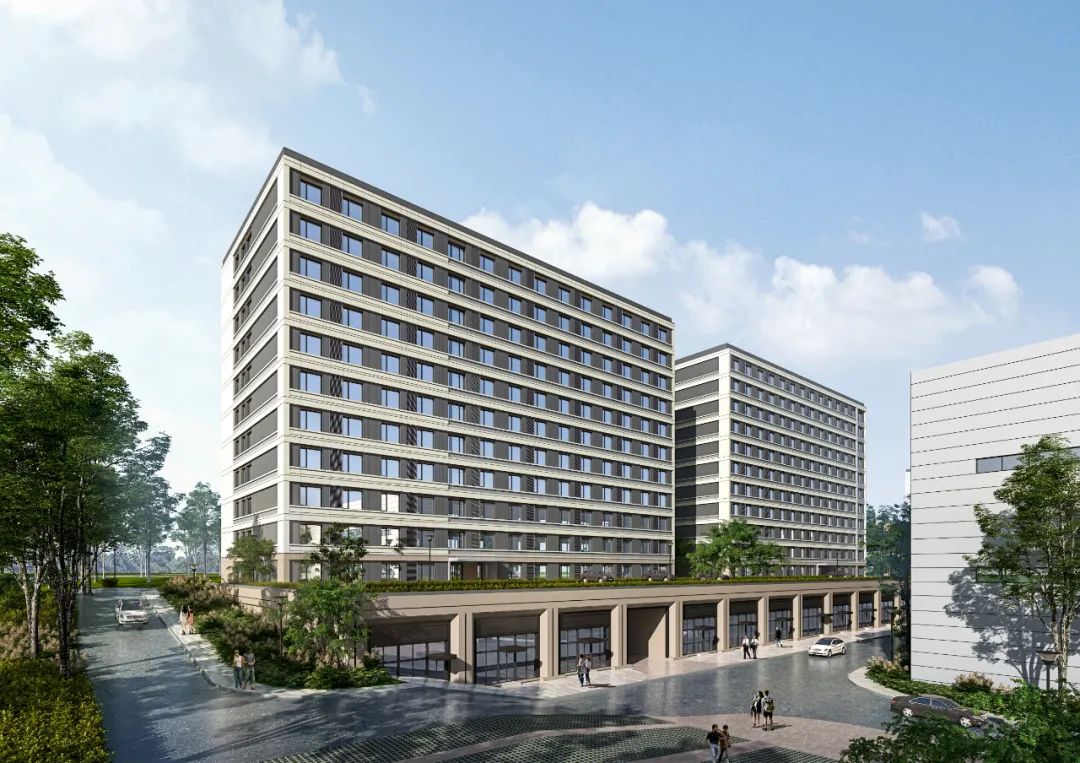 山东青岛揭牌,青岛跻身国家队第一方阵