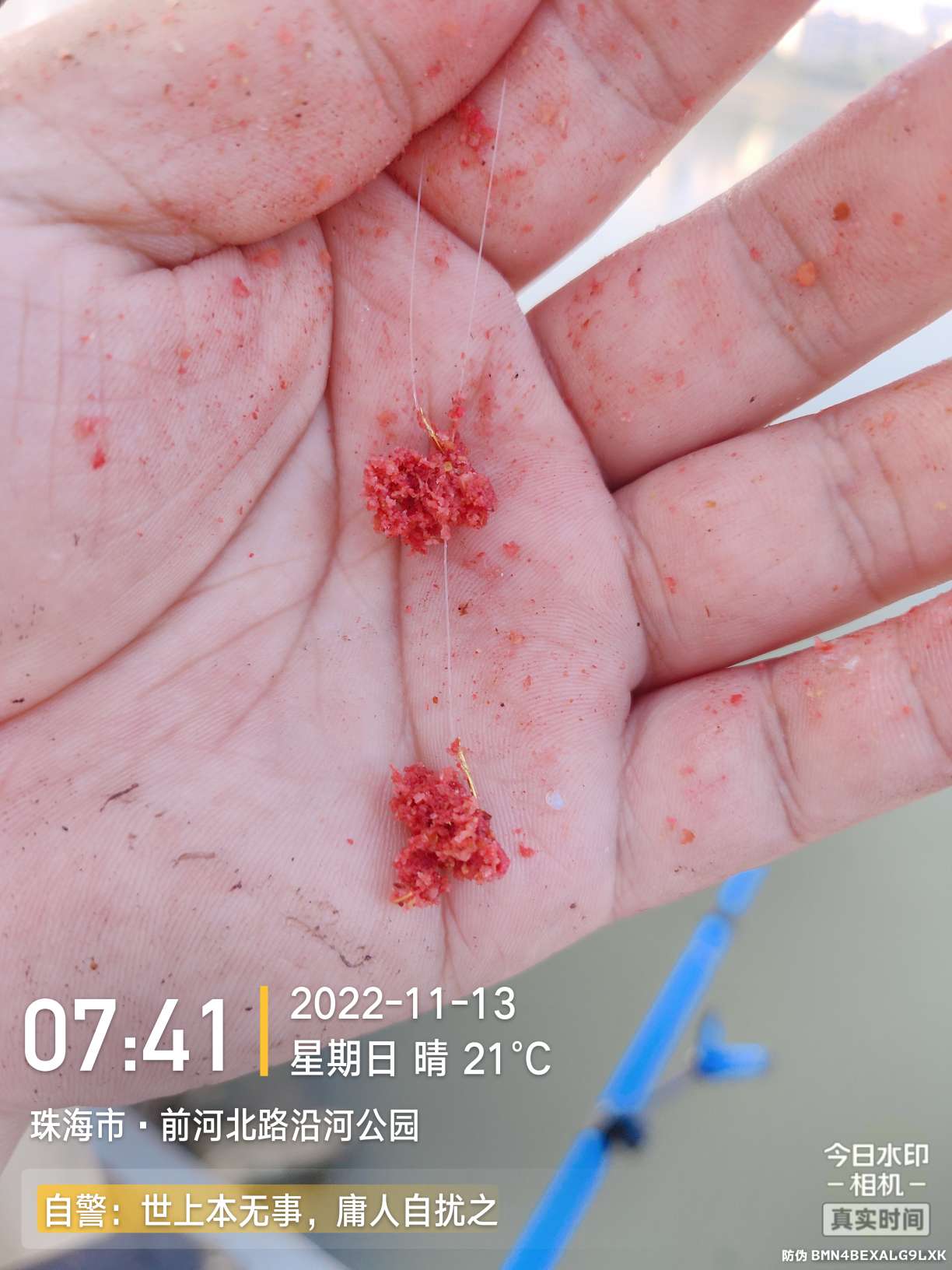 刷新了对钓鱼的认知,钓鱼的十个思维方法