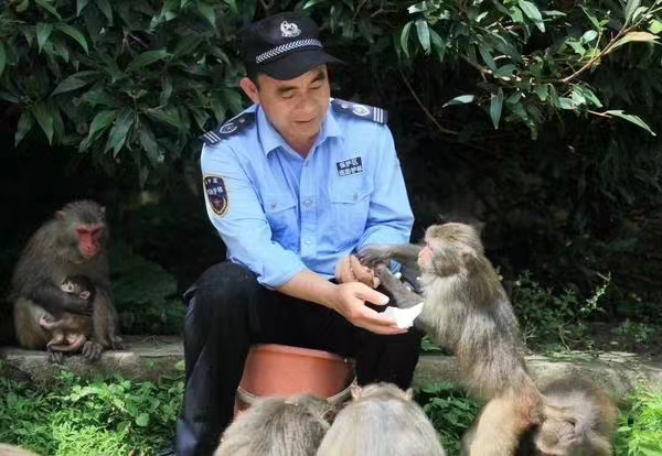 守岛33年:“猴爸爸”刘清伟和他的1300只猕猴