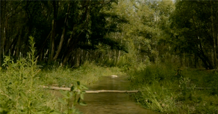 *藏西**曲水：希望、文明、生态、团结、幸福的种子生根发芽