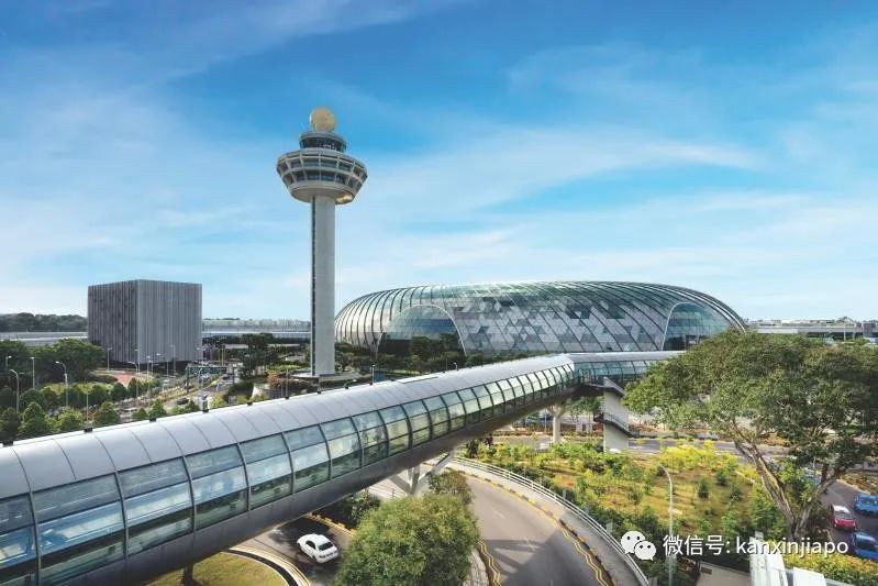 卡塔尔新加坡视频,卡塔尔和新加坡哪个大