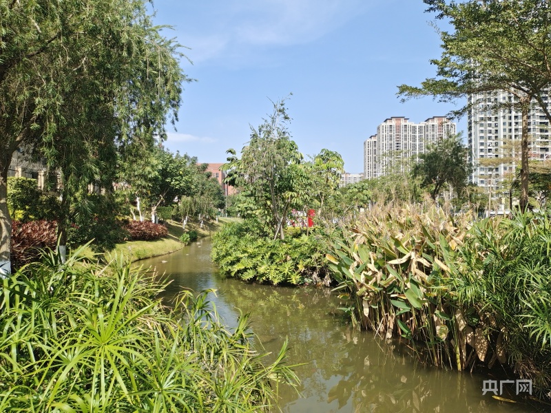 「组图」探访厦门最大保障性安居工程