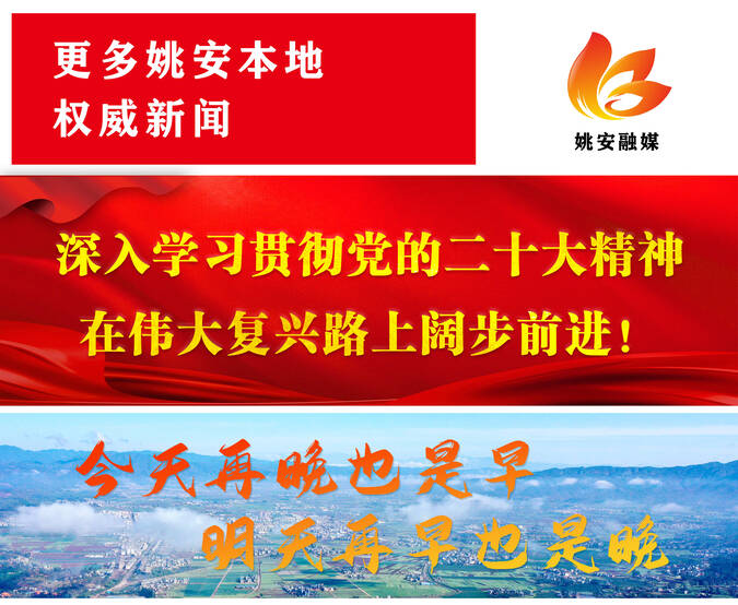 中阿合作丰硕成果,中阿技术转移与创新合作大会