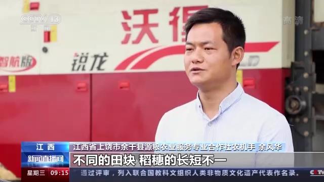 粮食全链条减损包括哪些环节,中国粮食生产取得重要成就