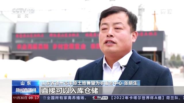 粮食全链条减损包括哪些环节,中国粮食生产取得重要成就