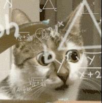 摸鱼三分钟和十分钟的差距,摸鱼三思后行