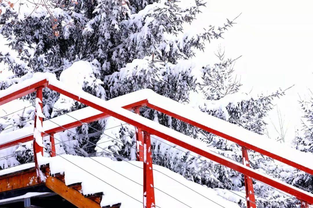 伊春嘉荫县城,伊春嘉荫火车