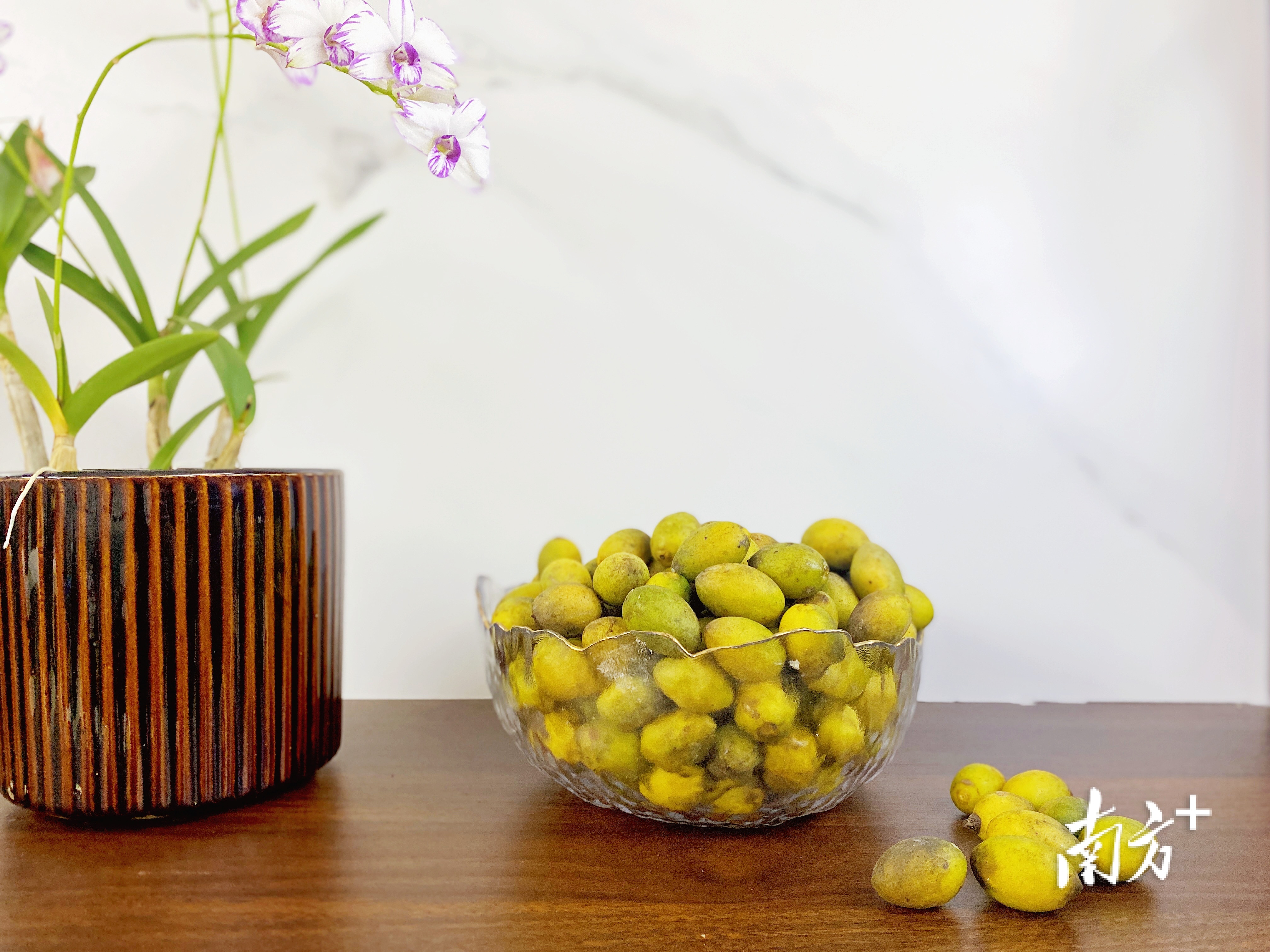 市面上好吃的橄榄有几个品种,橄榄的种类和区别