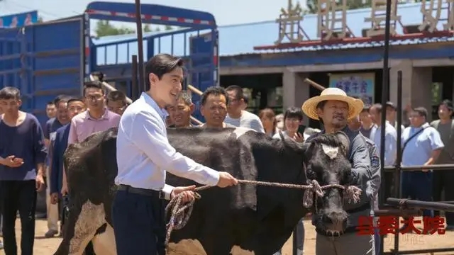 县委大院最重的石头,县委大院里面