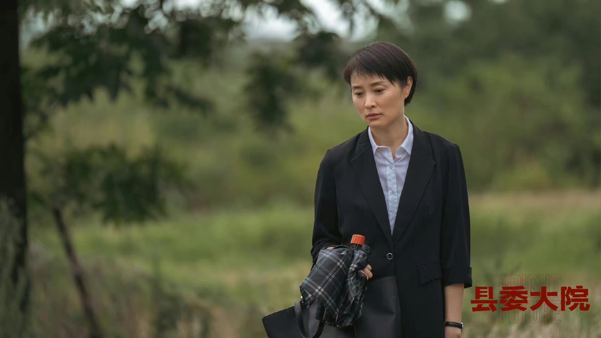 县委大院最重的石头,县委大院里面