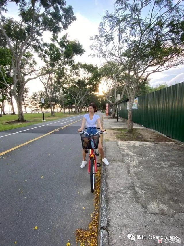 新加坡如何应对物价上涨,新加坡物价涨了吗