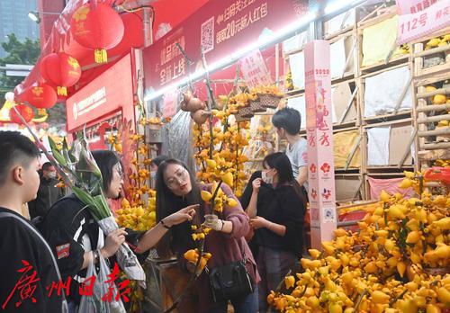 元旦节刊·花市|花如海人如潮，行过花街才过年
