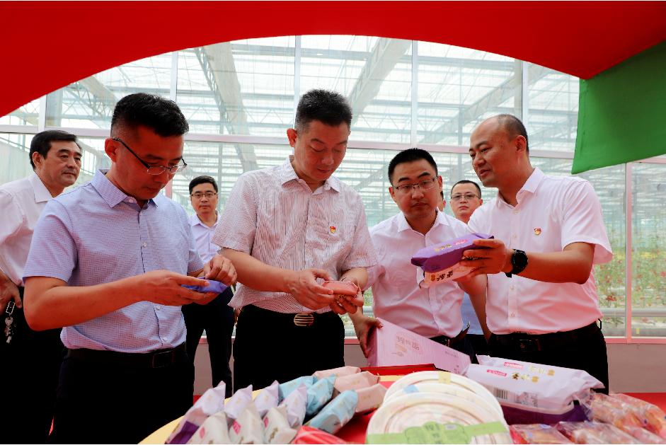 凝心聚力再发力,凝心聚力推进镇域经济高质量发展