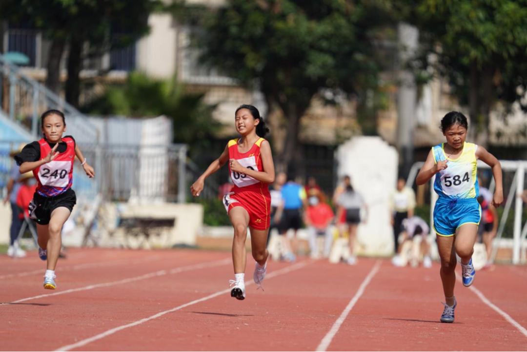 教体局教育工作汇报,品质教育展示活动成效