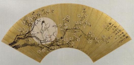 盘点那些年的兔子,现实中的兔子和想象中的兔子