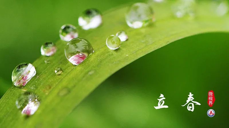 兔年每月有几个节气,兔年1月份日历