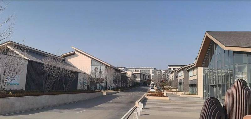 我在这里过大年|年在“新”村，变与不变