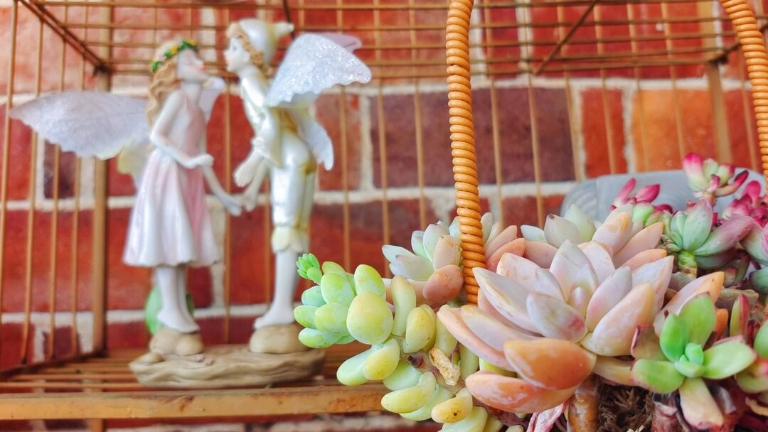 长沙春节游客量,春节长沙接待游客是最多的吗