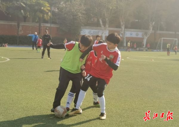 瓒崇悆灏忓皢灏忚姳,瓒崇悆灏忓皢瀵掑亣姣旇禌