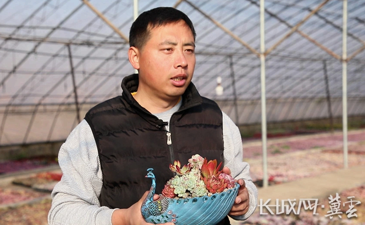 大学生农业创业乡村振兴,返乡创业大学生乡村农产品体验