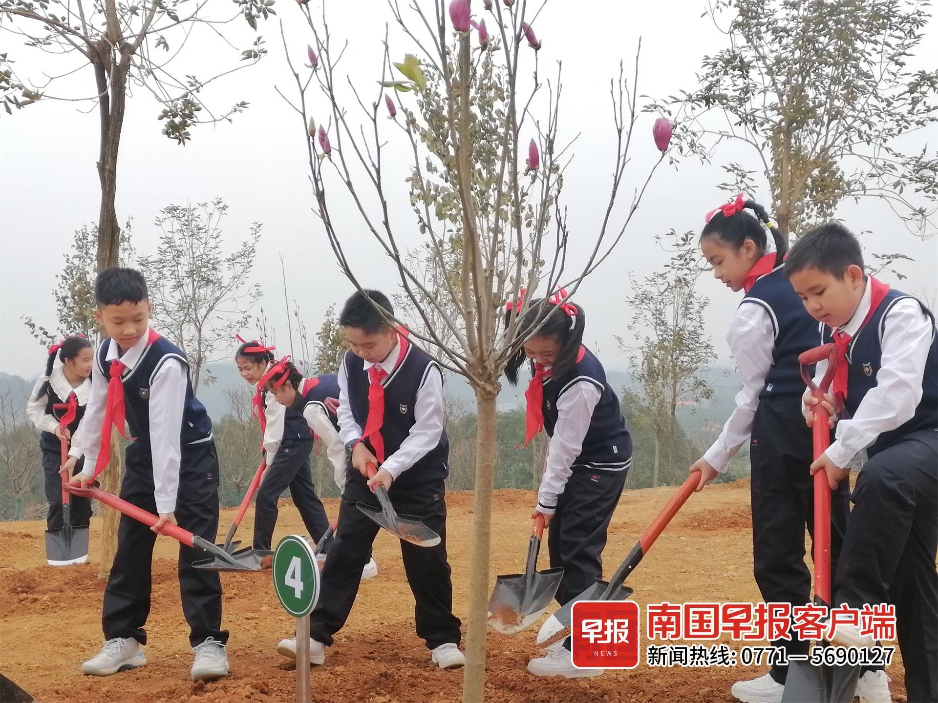 南宁哪个地方可以开展植树活动,南宁19年免费植树活动