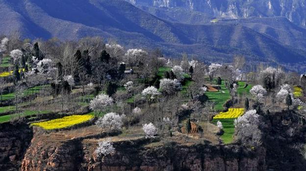 郑州最全的春季赏花地图来啦,郑州最全春季赏花地图