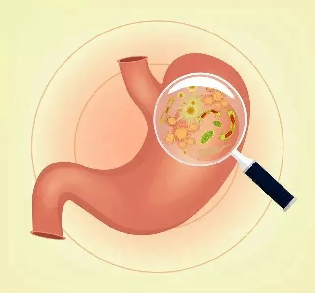 身体无“幽”“胃”你守护——孕妇、儿童专属福利来啦