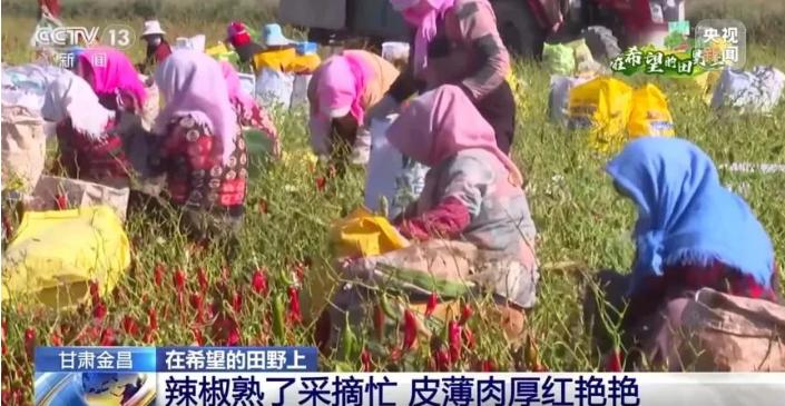 宣传思想工作提质行动方案,2018宣传思想工作综述