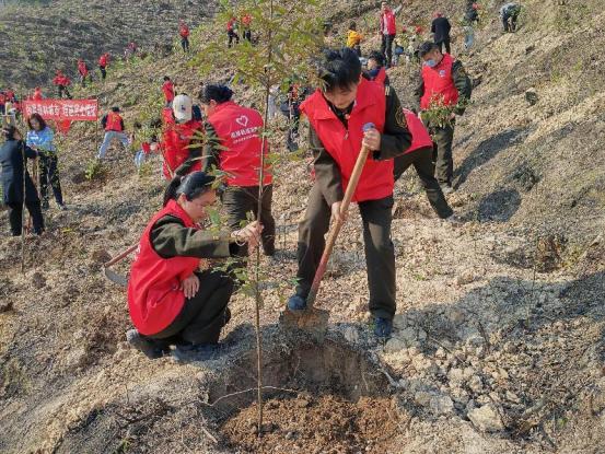 扎根电网施工一线爱岗敬业,班组天地杂志封面