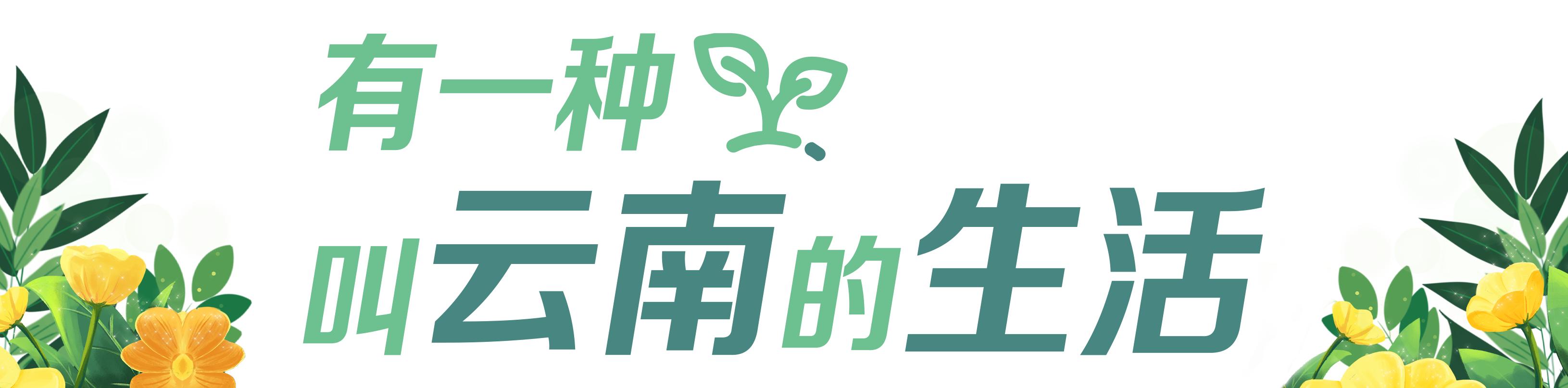 有一种叫云南的生活｜“郑和故里·云花灿烂”！2023晋宁玫瑰节启幕