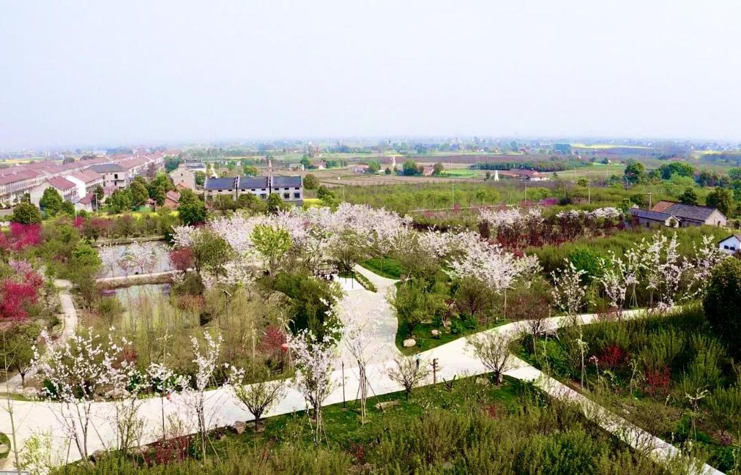 荆州赏樱,中国十大赏樱胜地最值得去的