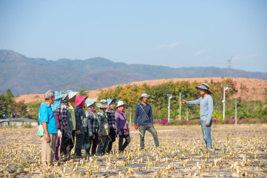 云南省西双版纳熊杰:小玉米做成大产业,傣族村寨借力电商走上致富路