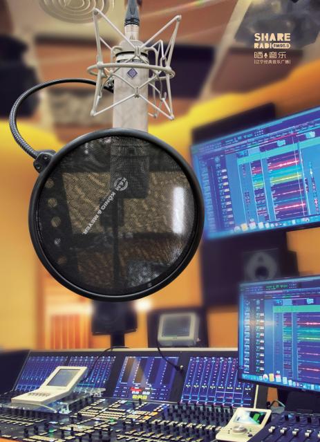 杈藉畞缁忓吀闊充箰骞挎挱fm95.9,杈藉畞缁忓吀闊充箰骞挎挱30鍛ㄥ勾