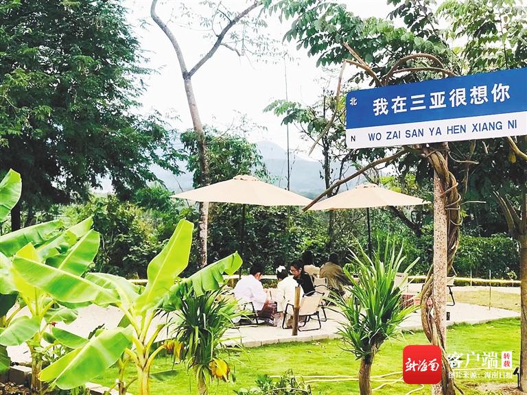 三亚乡村旅游线路推荐,三亚乡村旅游开发规划图