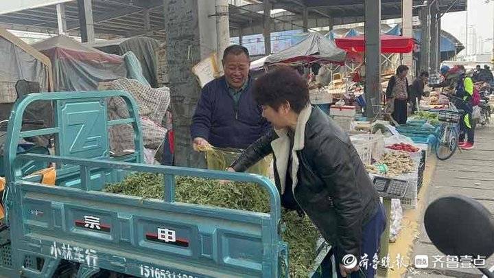 济南野生野菜大全,时令野菜上市价格