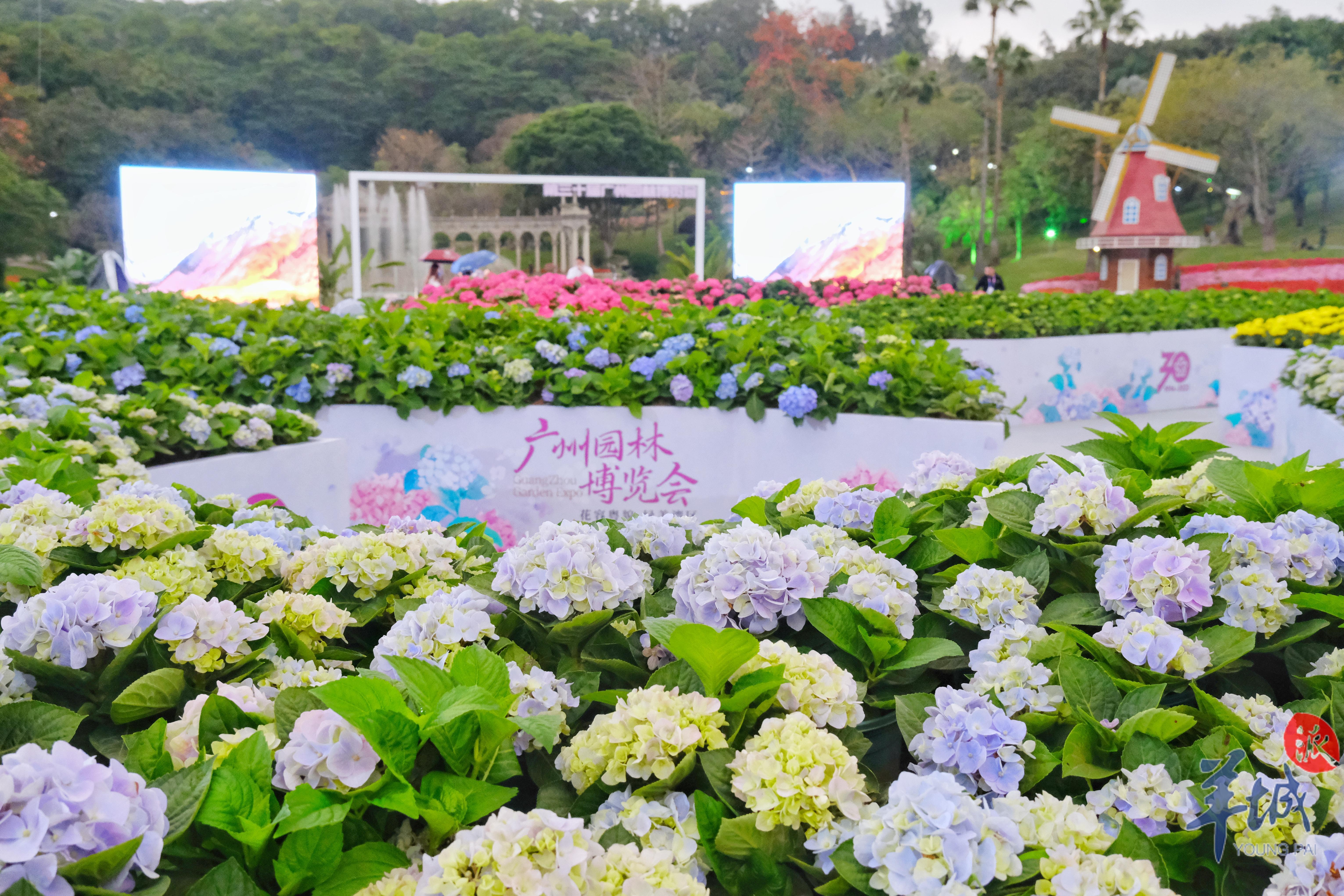 棣欐腐浜哄ぇ婀惧尯涔版埧璐锋,棣欐腐浜哄ぇ婀惧尯璐埧鍙捶娆惧悧