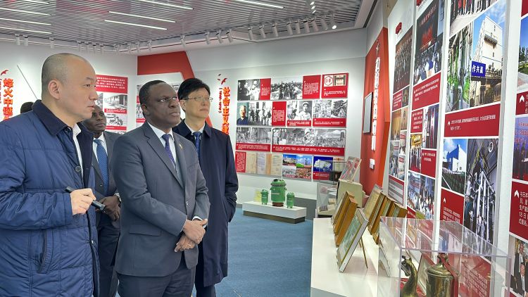 坦桑尼亚驻华大使一行访淄参观淄博企业期待品尝淄博烧烤