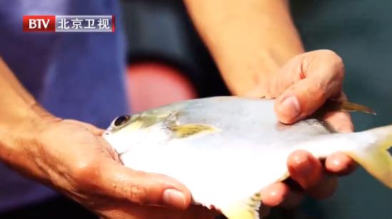 春季如何吃鱼养生,春天就该多吃它养生又好吃