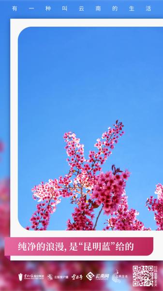 有一种治愈系风景叫云南的生活,有一种美叫云南的生活