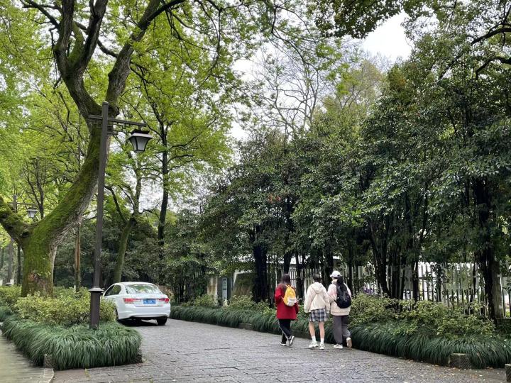 杭州出游免门票推荐,杭州游玩怎样免门票