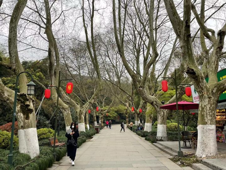 杭州出游免门票推荐,杭州游玩怎样免门票