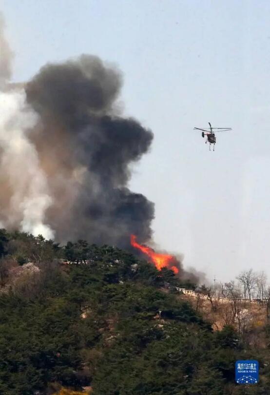韩国山火烧毁,韩国首尔市中心发生山火
