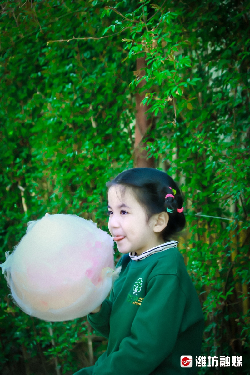 潍坊金宝乐园导游图高清,潍坊金宝乐园实体拍摄