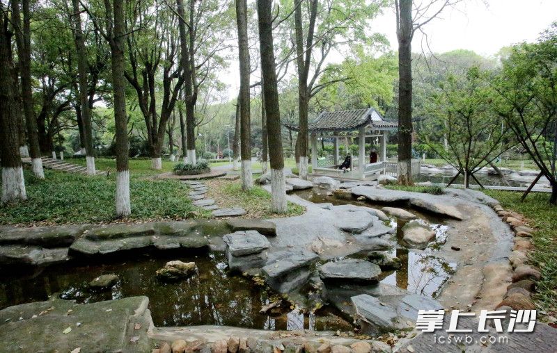 芳草园手绘地图,芳草优美落英缤纷图片