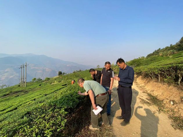 龙陵：以绿色高质高效产业项目助力现代化边境幸福村建设