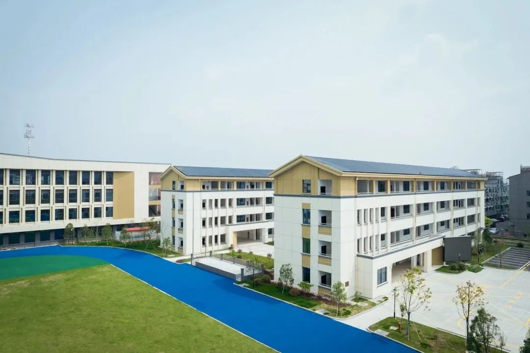 永康小学学位政策,永康2024小学入学人数剩余名额