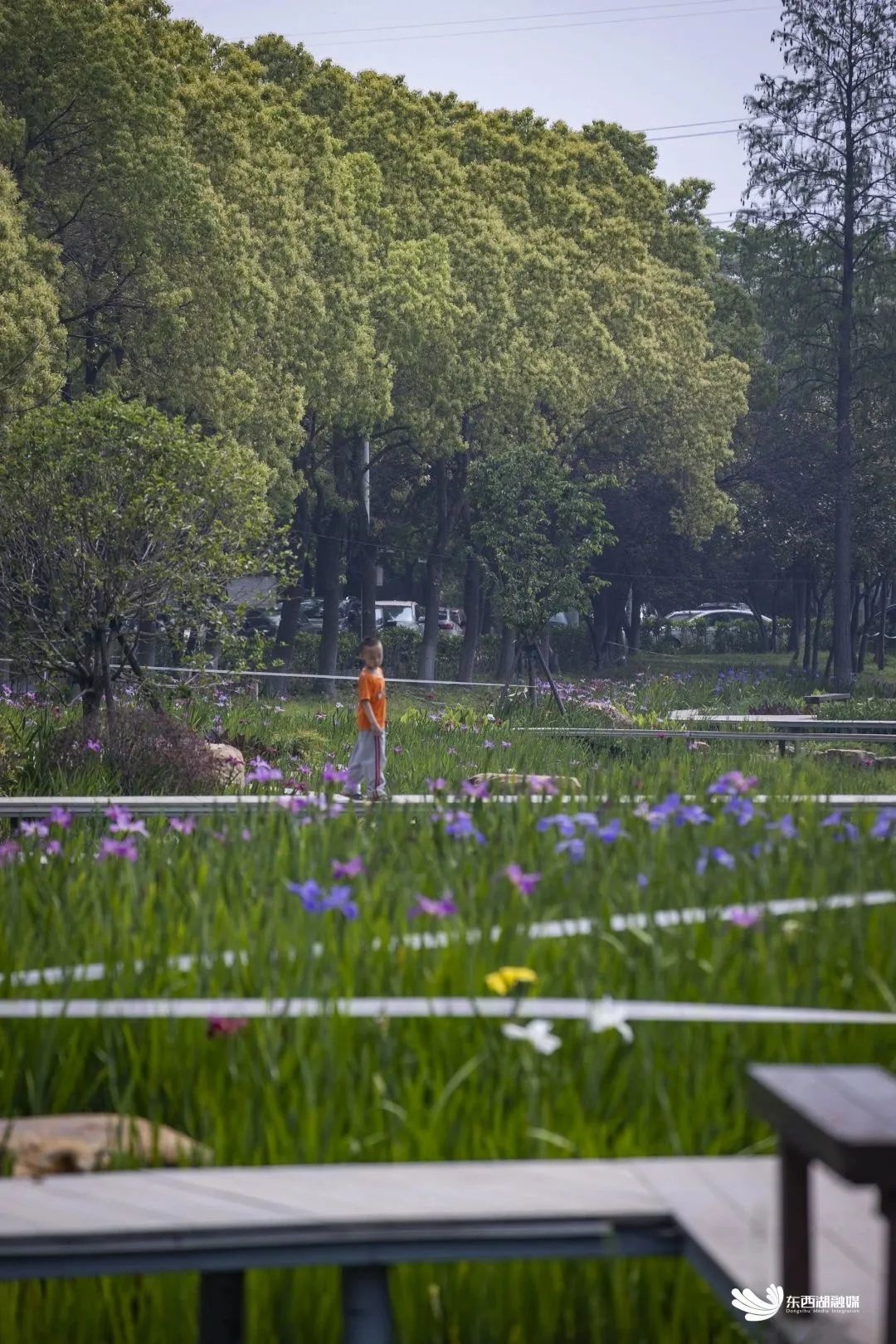 武汉东西湖碧海花园,武汉最大的城中湖东湖