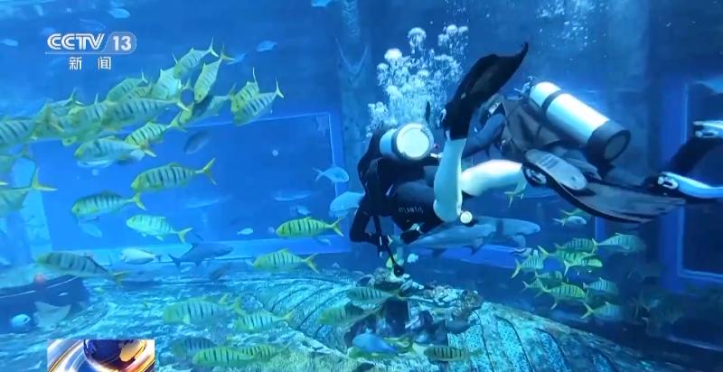 五一出游高风险,五一假日的风险